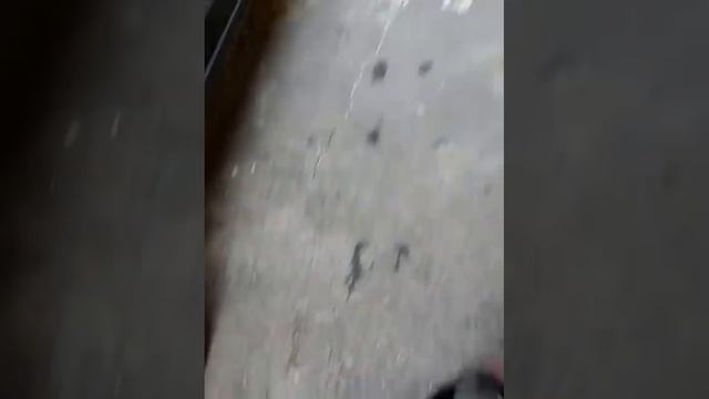 Как выбрать автомобильные пружины?Ставим усиленные пружины на ВАЗ 2115,2114,2113,2199,2109,2108 смотреть онлайн