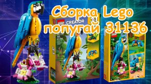 Сборка Lego Попугай 31136