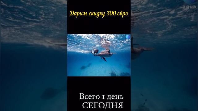 ДЕЛЬФИНИНГ на Красном Море. 04-12 мая 2023г