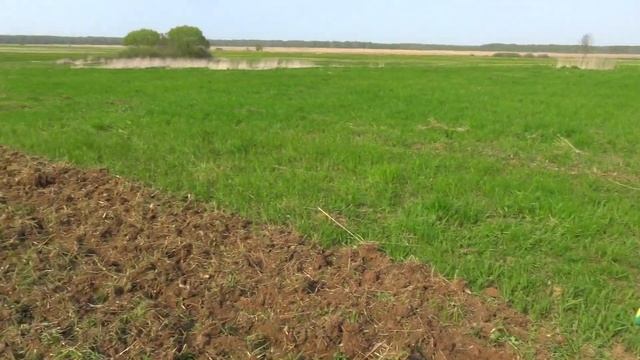 Как вспахать целину мотоблоком? Можно ли фрезами мотоблока МОБИЛ К МКМ-4 поднять целину? ИНСТРУКЦИЯ