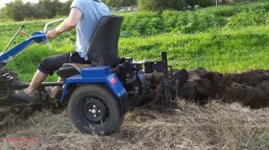 ЛЕТНЯЯ ВСПАШКА ЦЕЛИНЫ МОТОБЛОКОМ НА 20+ / ДОБАВИЛ ГЛУБИНУ , МОТОБЛОК БУКСУЕТ