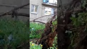 2017.05.29_ураган в Электростали