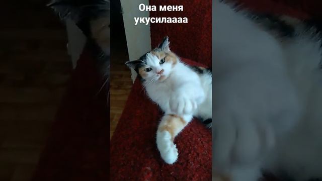 она меня пил укусила и палец болит но я её серавно люблю