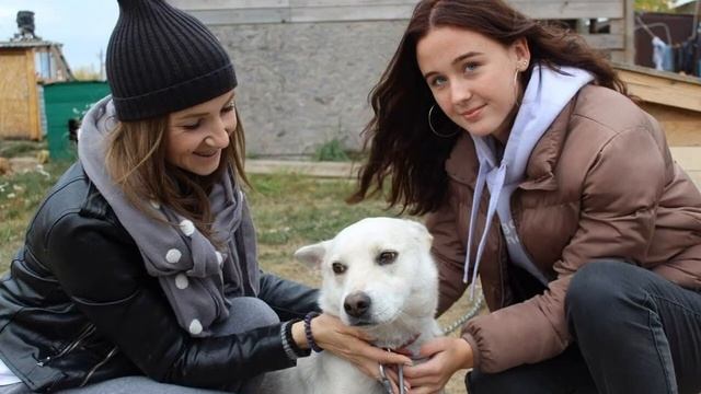 Кто такой педагог организатор?
