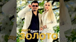 Цвет черёмухи