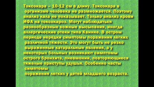 Паразиты внутри человека.  Важно знать!!! Впечатлительным смотреть не стоит.