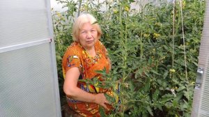 ЧТО СЛУЧИЛОСЬ С АФРОЧЕРРИ? Обзор