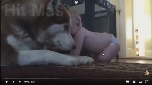 смех моего друга смотреть онлайн