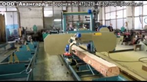 ЛЕНТОЧНАЯ ПИЛОРАМА «АВАНГАРД-ЛП-80 S.E.N.» CО СТАНДАРТНЫМИ НАПРАВЛЯЮЩИМИ