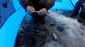 Ловля окуня зимой, рыбалка 2019-2020 Иркутская область.