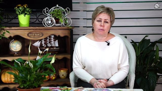 Томаты 2019 ? Ответы на вопросы от Хитсад ? смотреть онлайн