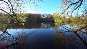 ЛОВЛЯ КРУПНОГО КАРАСЯ НА МАХОВУЮ УДОЧКУ ВЕСНОЙ!!!#рыбалка#отдых#природа#SergeiBryanskFishStory