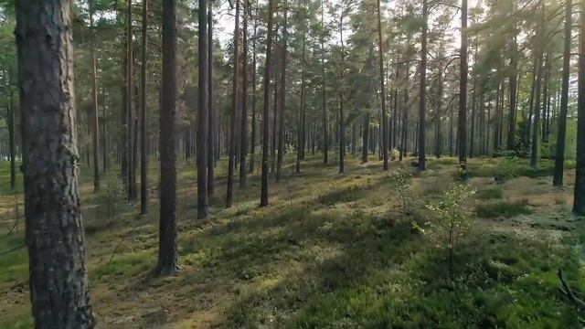 Emanuele Coccia Interview - Dior Spring-Summer 2020 Show смотреть онлайн