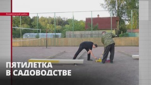 В садоводстве Всеволожского района энтузиасты своими руками создали хоккейную коробку и библиотеку.