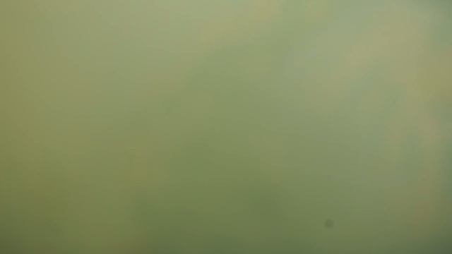 Пирошоу на матче Заря - Кубань. 26.08.18 ст.Троицкая