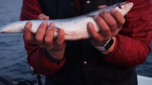 ТРОЛЛИНГ СИМЫ В ПРИМОРСКОМ КРАЕ / ЧТО ТАКОЕ ТРОЛЛИНГ