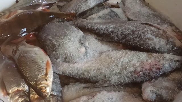 Как Легко и Вкусно Засолить Рыбу. ЛУЧШИЙ РЕЦЕПТ! Как не пересолить и вкусно засолить рыбу дома.