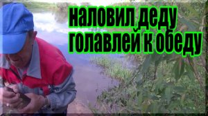 Эх, струна подвела... А так бы наловил деду побольше голавлей к обеду. Голавль на спиннинг.