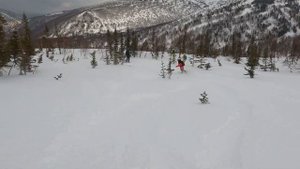 Приисковое лучший фрирайд 2023 года