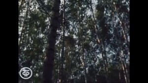 Людмила Зыкина - У Есенина День рождения