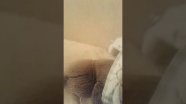 Обед с басиком смотреть онлайн