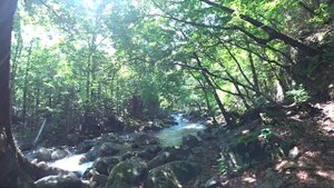 Смольные водопады! Беседка ушуистов! Анисимовка! Гора Фалаза 1279 метров! Путешествуем своих ходом!