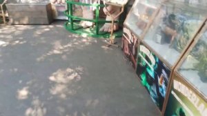 Гуляю в  парке развлечений ВЕСЬ ДЕНЬ!!! Wonderland Хабаровск