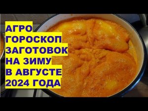 Агрогороскоп заготовок на зиму в августе 2024 Agrohoroscope of winter preparations in August 2024