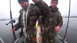 Отдых и рыбалка в Северной Карелии. Осень 2020. Часть 1. Искали кумжу, а нашли окуня. Лесная кухня.