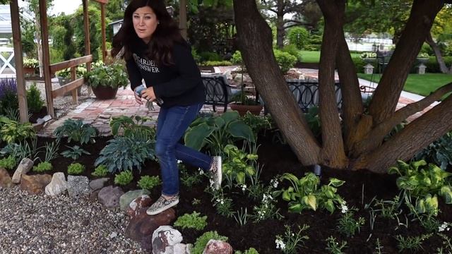 Planting a Hosta Garden! ??// Garden Answer смотреть онлайн