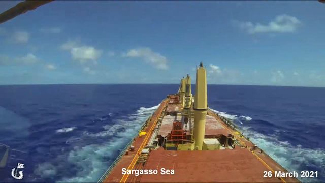 Дорога из дачи домой - на лыжах!!! смотреть онлайн