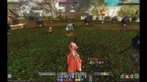 ArcheAge 2.5. Нараянская воительница. Обзор.