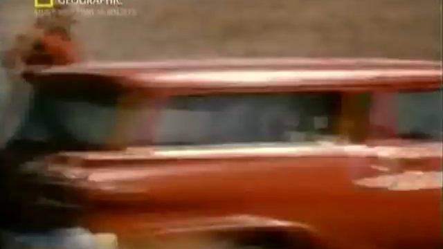 Медведь в бешенстве! смотреть онлайн