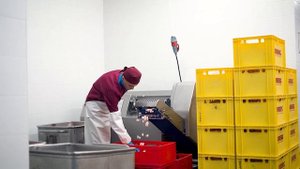 Мясокомбинат "Митэк" - современное производство колбас и мясных деликатесов
