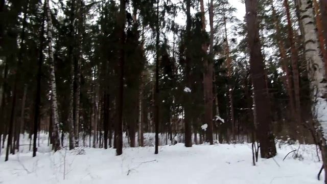 ГОТОВЛЮ ШАШЛЫК В ЗИМНЕМ ЛЕСУ!