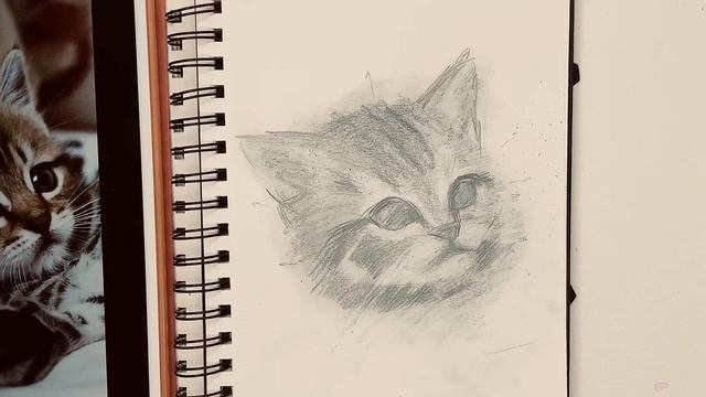 Как рисовать котёнка карандашом. Урок рисования смотреть онлайн