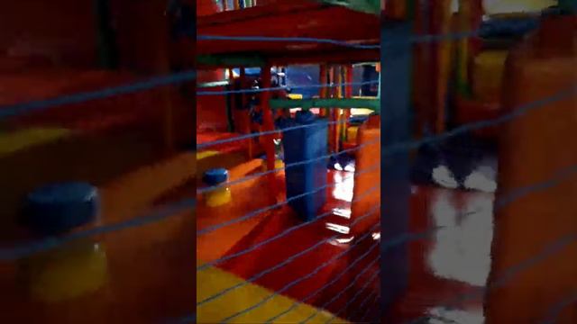 ВЛОГ НАШИ  СЕМЕЙНЫЕ БУДНИ ИЛИ КАК МЫ ПРОВОДИМ ВРЕМЯ ВМЕСТЕ
