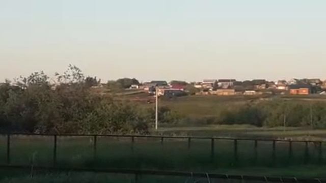 Альфард и прайт руби смотреть онлайн