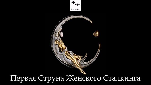 Первая Струна Женского Сталкинга