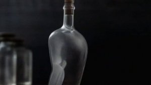 МОСКВА - ПЕТУШКИ (глава 1)