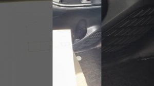 Toyota NOAH hybrid WXB 2019