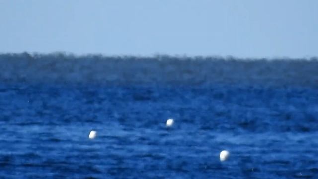 Flat Earth Angular Resolution & Perspective смотреть онлайн