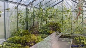 Setting up a greenhouse inside  Best ideas Обустройство теплицы внутри Лучшие идеи