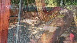 Papillon (Secret Garden) - Pannetier Sisters