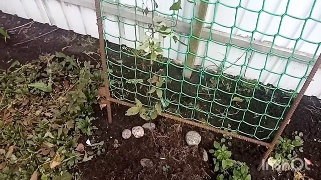 Как живут в русской деревне. Обзор посылки/чистота залог здоровья... смотреть онлайн