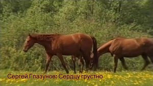 Сердцу грустно- Сергей Глазунов (музыка  Сергей Глазунов, слова Катенька Смоленская) (2024)