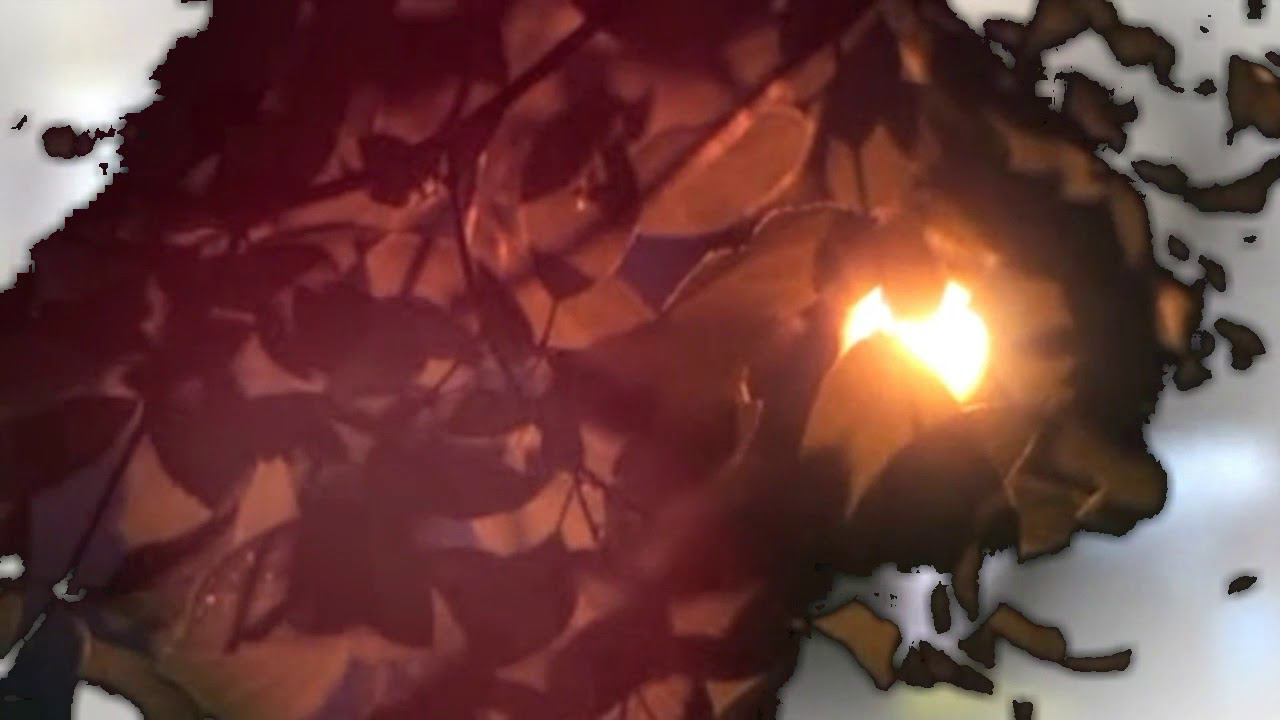 Rygby "Consolation" смотреть онлайн