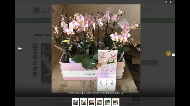 ? ПРОДАЖА ОРХИДЕЙ. Парфюмерные фабрики. Обзор ароматных орхидей для Предзаказа 2023. Купить орхидею
