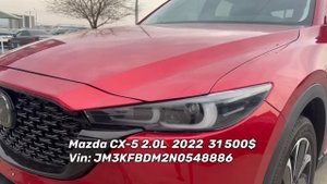 Обзор цен на рынке Автопапа в Грузии. Март 2023. Редкие авто. Мастер Вадя.