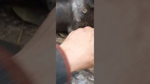 проставка ком зил 645 самодельный вариант